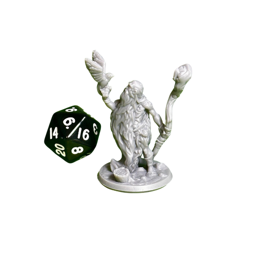 Druid Male 01, 12k Resin Dungeons and Dragons Miniatures DnD D&D Mini 32mm Lot