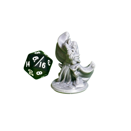 Elven Female Mage 01, 12k Resin Dungeons and Dragons Miniatures DnD D&D Mini 32mm Lot