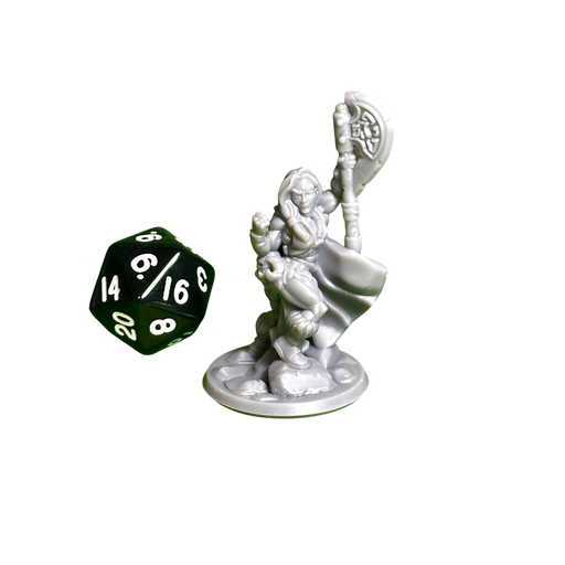 Barbarian Female 02, 12k Resin Dungeons and Dragons Miniatures DnD D&D Mini 32mm Lot